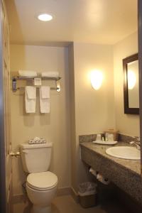 卡西诺山套房酒店的一间浴室