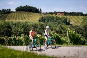 Apartment direkt am Weingut Garber的两人在葡萄园前骑车