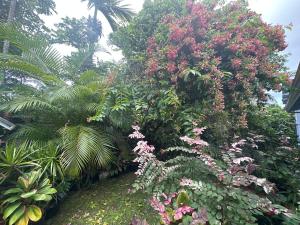 希洛夏威夷奥纳之家住宿加早餐旅馆的种有多种植物和花卉的花园