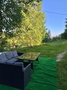 新塔尔格Apartament Guziczek的绿地毯上的一张沙发和一张桌子