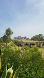 阿尔沃尔Foz Club - Algarve的远方有树木的建筑物