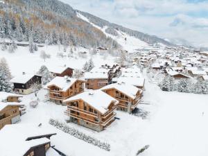 谷雪维尔Chalet Courchevel, 7 pièces, 10 personnes - FR-1-568-42的雪覆盖的村庄的空中景观