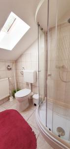 赫维兹Apart Júlia Villa的带淋浴和卫生间的浴室以及红色地毯。