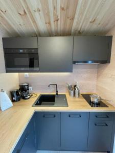 纳堡Tiny Haus 17的厨房配有水槽和微波炉