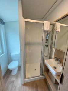 纳堡Tiny Haus 2的带淋浴、卫生间和盥洗盆的浴室