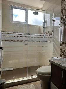 安巴托Instant Hotel - Villa Palermo Luxury Apartments的带淋浴、卫生间和窗户的浴室