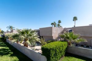 棕榈泉Vista Mirage Resort的楼前一排棕榈树