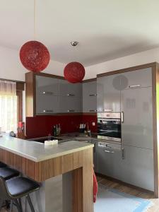 布雷佐维察Villa in Brezovica的厨房配有不锈钢用具和两个红色吊灯
