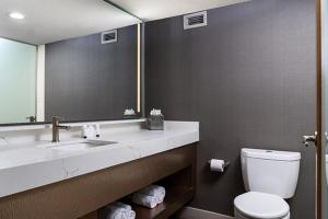 拉斯维加斯The STRAT Hotel, Casino & Tower的一间带水槽、卫生间和镜子的浴室