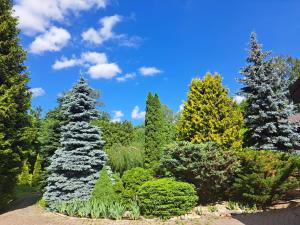 里加Champêtre Park View Apartments的蓝天花园中的一排树木