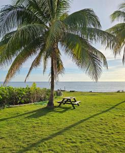 Palms By The Sea平面图