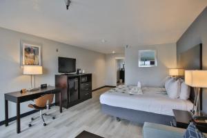 亨廷顿海滩城市冲浪贝斯特韦斯特酒店的酒店客房配有一张床、一张书桌和一台电视。