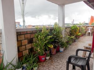 伊基托斯Moicca Youth Hostel的阳台,盆里放着一束植物