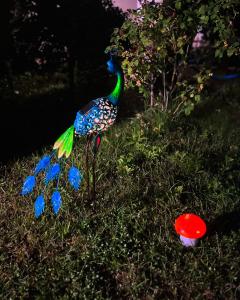 奥尔绍瓦CHALET Orsova的一只孔雀站在红球旁边的草地上