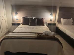 里奥阿查Hotel la Sierra Riohacha II的一间卧室配有一张大床和两个枕头