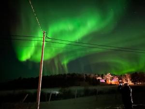 特罗姆瑟House in the lights and Aurora的天空中极光的图像