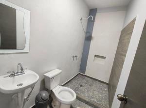 巴卡拉尔Hotel Blue Turtle的浴室配有卫生间、盥洗盆和淋浴。