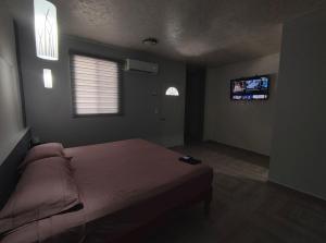 巴卡拉尔Hotel Blue Turtle的卧室配有一张床,墙上配有电视。