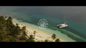 NiagalubirLuxury and Gourmet Catamaran Slow Travel Experience的棕榈树海滩旁的水域中的船只