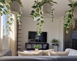 埃克勒Eckerö Camping & Stugor的客厅的天花板上挂有植物