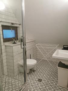 布达佩斯Kúria Apartman Budapest with free parking的一间带卫生间和水槽的浴室