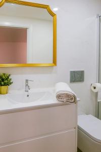 里斯本Green Charm House Lisbon的一间带水槽、镜子和卫生间的浴室