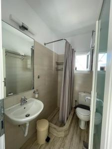 米克诺斯城Ioanna's House的一间带水槽和卫生间的浴室