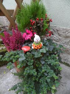 巴特尚道Ferienwohnung an der Therme的花朵与泰迪熊在花园里的花朵布置