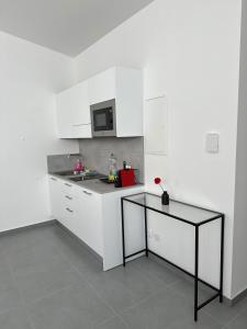 格拉茨Grazora Living Apartments的厨房配有白色橱柜和台面