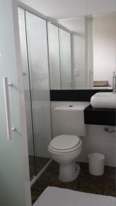 瓜鲁柳斯Motel Segredos (Adults Only)的一间带卫生间、水槽和镜子的浴室
