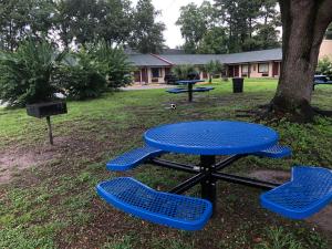 查尔斯顿Stay Express Inn North Charleston的一张野餐桌和两把蓝色椅子,旁边是树