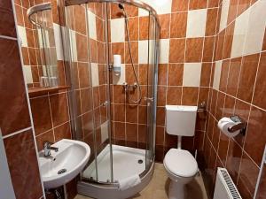 佩奇柯尼希酒店的带淋浴、卫生间和盥洗盆的浴室