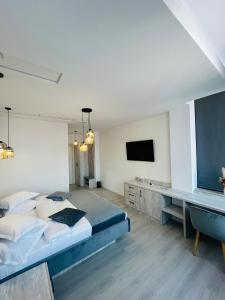 皮特什蒂Casa Muntenească Alessandro的一间卧室配有一张大床和一台平面电视