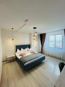 皮特什蒂Casa Muntenească Alessandro的一间卧室设有一张大床和两个窗户。