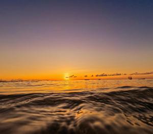 基林多尼Maisara Mafia Beach Lodge的海面上的日落与地平线