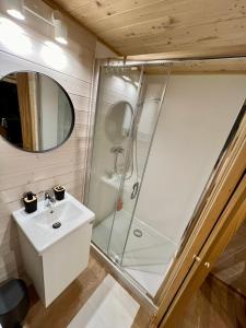 DejaniTiny Home的带淋浴和盥洗盆的浴室