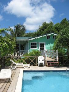 卡斯特里棕榈小屋的房屋前有游泳池的房子