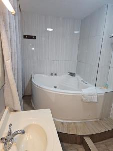 伯利兹城Golden Tree Hotel Belize的带浴缸和盥洗盆的浴室