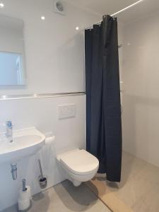 欧本Aparthouse HAAS41 - Eupen的一间带卫生间和水槽的浴室