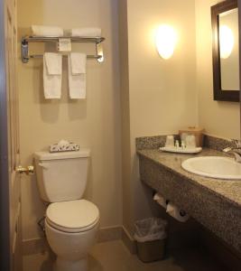多伦多卡西诺山套房酒店的一间带卫生间和水槽的浴室