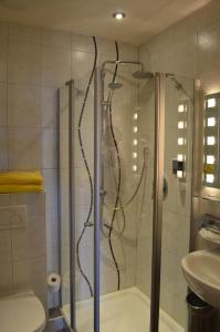 哈尔布莱希阿而浦沙勒施湾斯特恩酒店的带淋浴、卫生间和盥洗盆的浴室