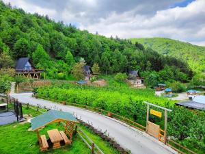 KakanjMalak Farma的享有带道路农场的空中景致