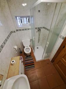 格拉纳达Hostel El Cascabel的带淋浴、卫生间和盥洗盆的浴室