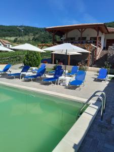 GorneaVilla Rustica的一个带蓝色椅子和遮阳伞的游泳池
