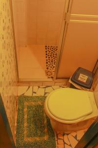 瓜塔佩Casa Encuentro Ecolodge的一间带绿色卫生间和淋浴的浴室