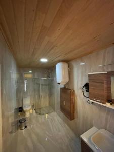 阿尔特温pınar kır evi的带淋浴和盥洗盆的浴室
