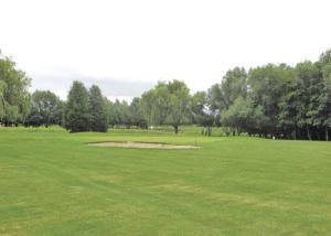 UpwoodOld Nene Golf And Country Club的一片绿地,有树木在后面