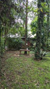 阿鲁沙Arusha Holiday Safari的树木繁茂的公园中间的野餐桌
