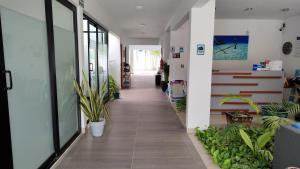 莫雷洛斯港Vela's Condos Ocean Front的办公室里带盆栽的走廊