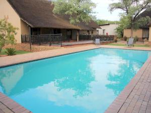 布里茨Ukutula Lion Lodge的一座大蓝色游泳池,位于房子前